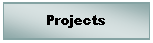 Text Box: Projects